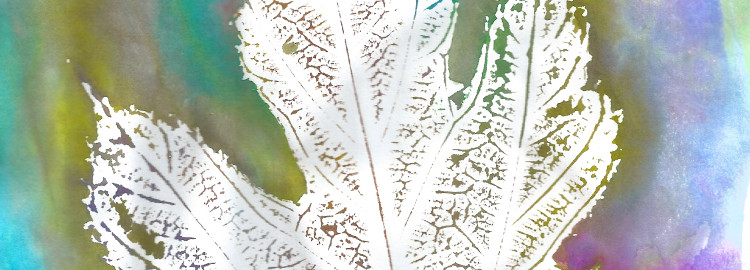 Prendre le temps - Voyageons Ludique - Forêt - Empreintes de feuilles sur agar-agar